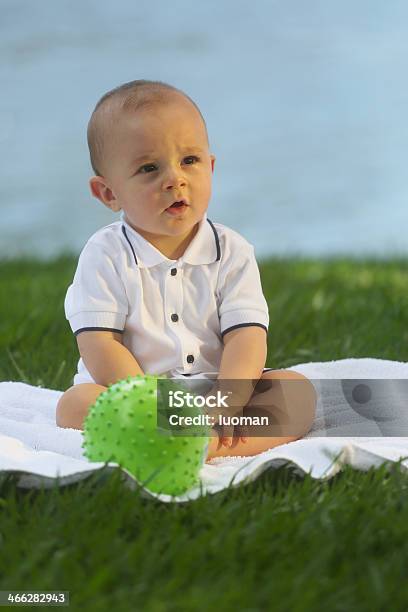 Europea De Bebé Sentado En La Hierba 10 Meses De Edad Foto de stock y más banco de imágenes de 0-11 meses