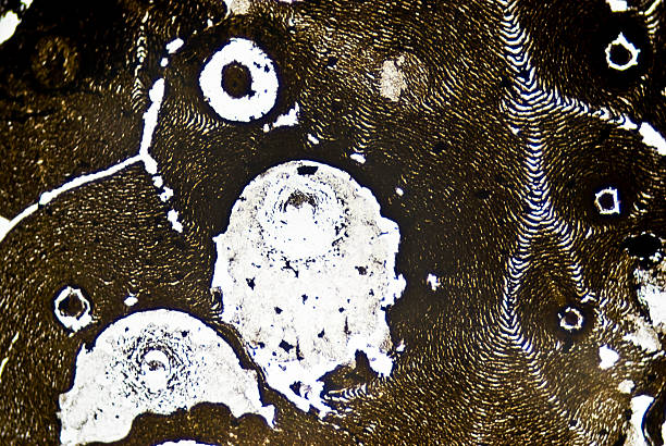 Soot Microscope 50+ Microscopic Soot Particles Stock Photos, Pictures & Royalty-Free ...