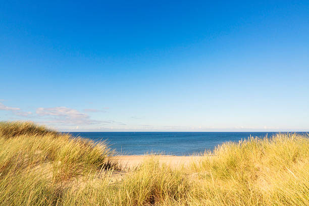 istock Beach by the North Sea 466286703