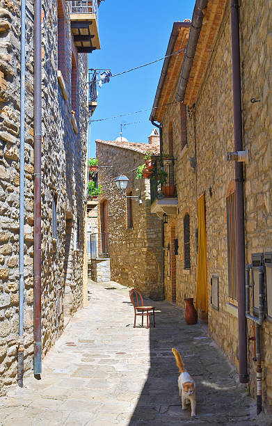 istock Alleyway. Guardia Perticara. Basilicata. Italy. 466288838