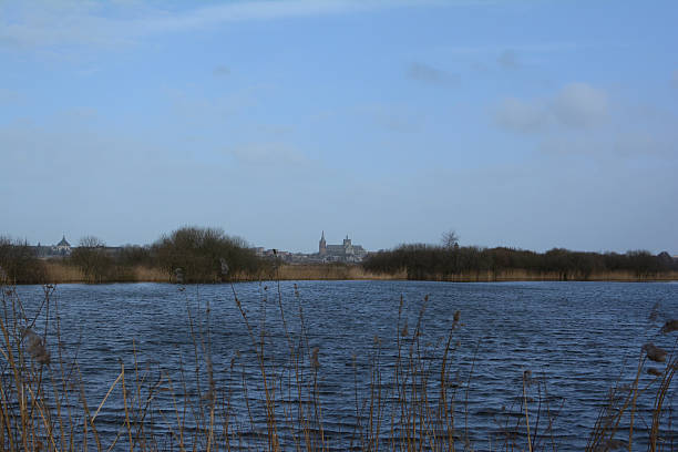 istock Water with reed and city buildings 466289536