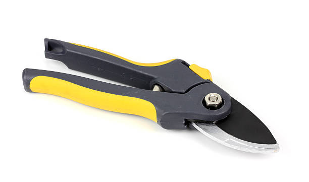 istock garden pruner isolated on a white background 466297134