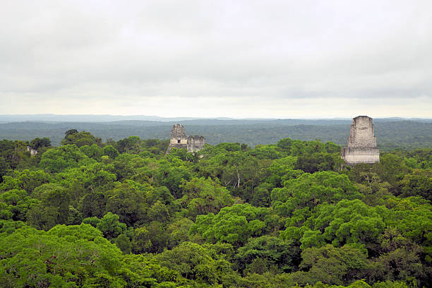 istock Mayan temples above the forest in Tikal, Guatemala 466297185