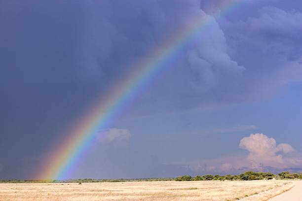 istock Rainbow in the Etosha National Park Namibia 466298922