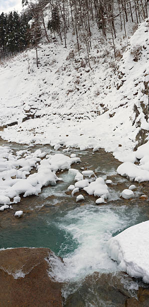 istock Snow monkeys on the hill 466299050