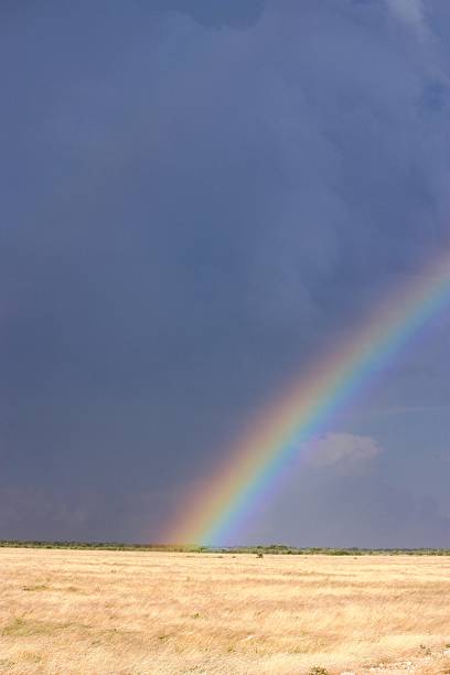 istock Rainbow in the Etosha National Park Namibia 466299210