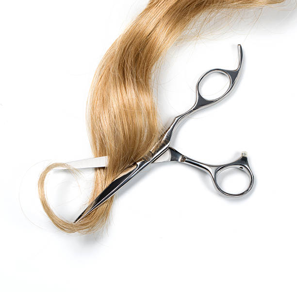 istock Long blond hair and scissors 466299338
