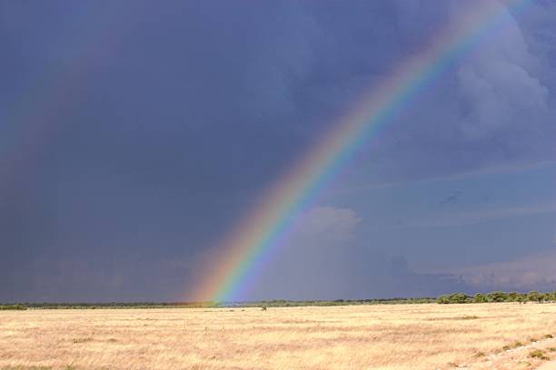 istock Rainbow in the Etosha National Park Namibia 466299452