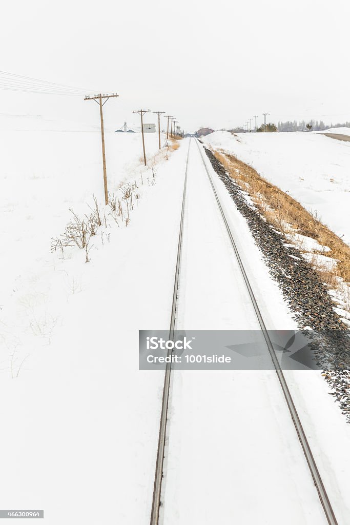 Train on the move - speed Shooting from on the move train - wintry landscape - Action shot with a bit of motion blur Telephone Pole Stock Photo