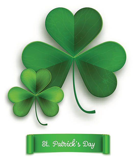 istock Saint Patricks Day card, realistic shamrock leaves isolated on white 466302450