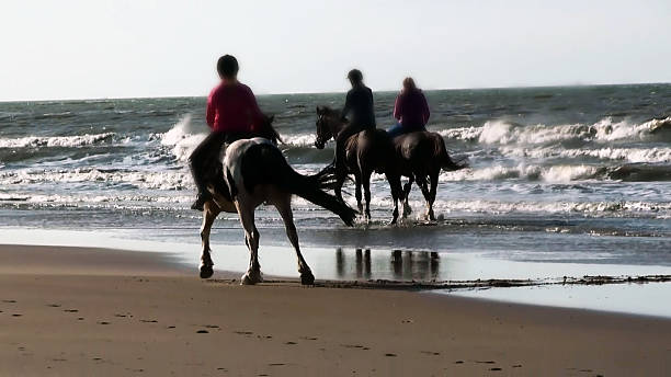 istock Riding horses on the beach 466303914