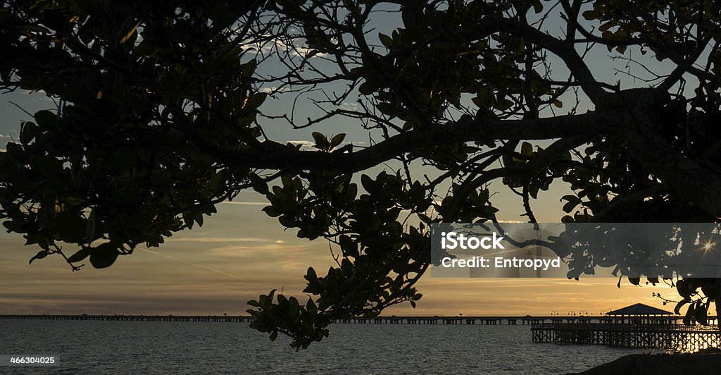Sunset Point at Sunset Sunset Point fishing pier, Lake Pontchartrain at sunset framed in silhouetted live oak tree, soft focus background Fishing Stock Photo