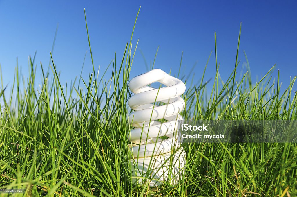 energy saving bulb in green grass against blue sky Abstract Stock Photo