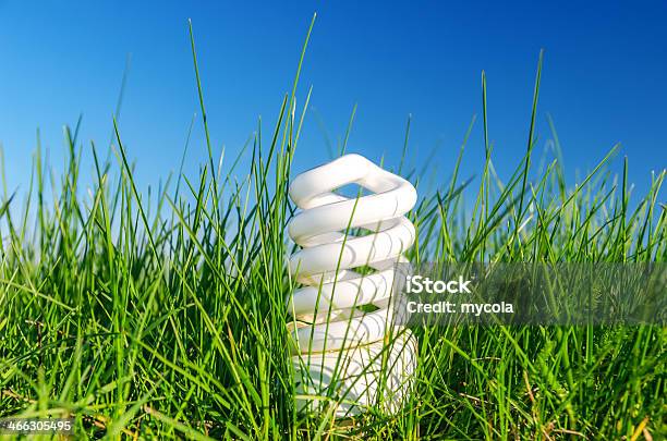 Energy Saving Bulb In Green Grass Against Blue Sky Stock Photo - Download Image Now - Abstract, Efficiency, Electric Lamp