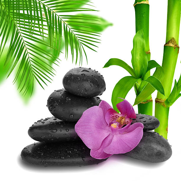 パープルのランの花のエンド竹 - spa treatment health spa zen like bamboo ストックフォトと画像