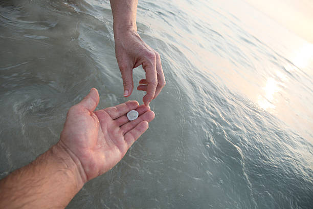 istock Two people share discovery of sand dollar from surf 466308514