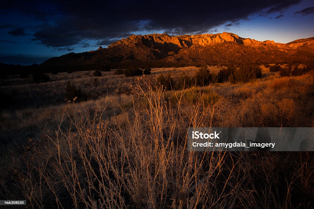 landscape environment sunset sunset light turns the scenery intense colors of orange and gold.  such beautiful nature scenery can be found in the desert sandia mountains of albuquerque, new mexico, usa. 2015 Stock Photo