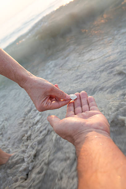 istock Two people share discovery of sand dollar from surf 466308602