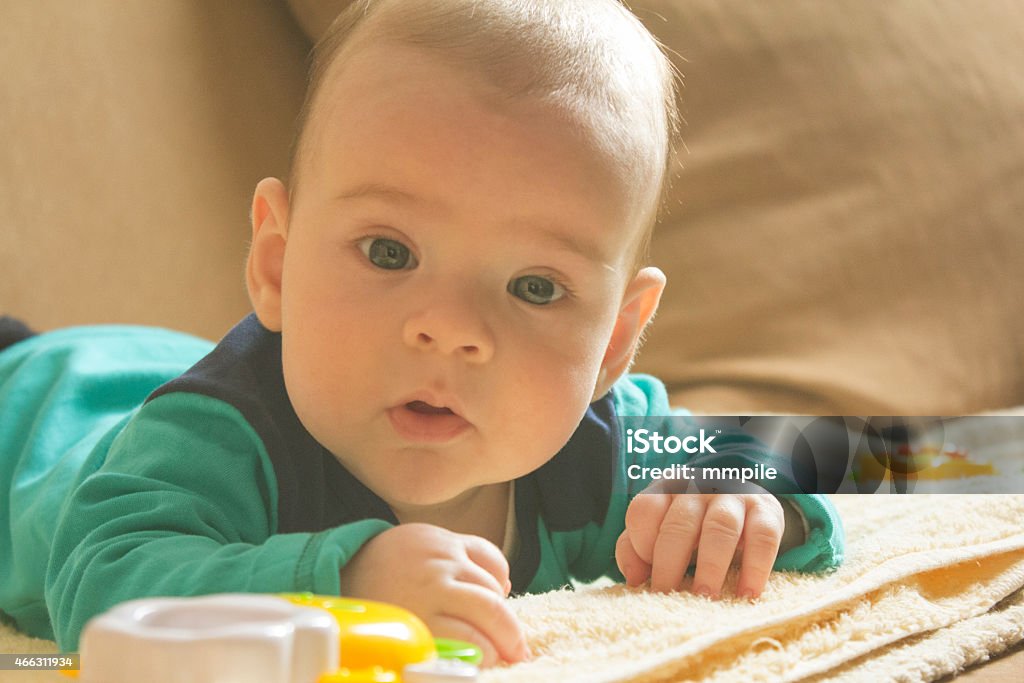 Cute baby boy lying on tummy Baby boy lying on tummy and playing with toys. 2-5 Months Stock Photo