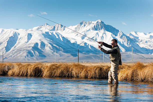 istock Mountain Fly Fisherman 466313798
