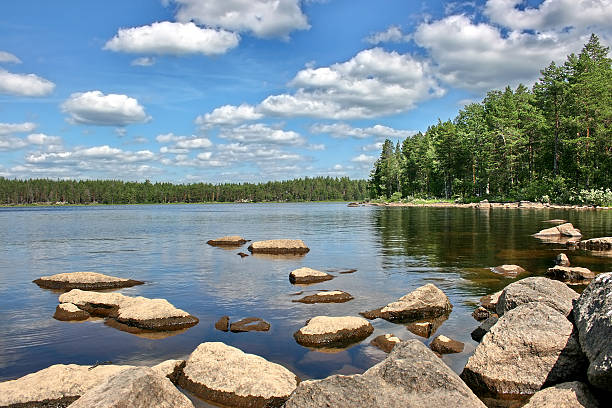 Sones in lake Trehoerningen in Tiveden National park January 19 2025