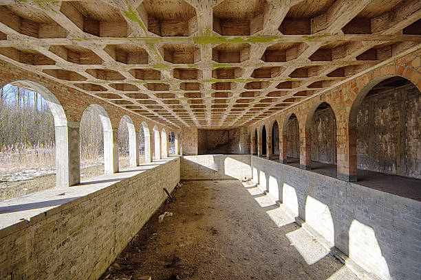 The abandoned swimming pool