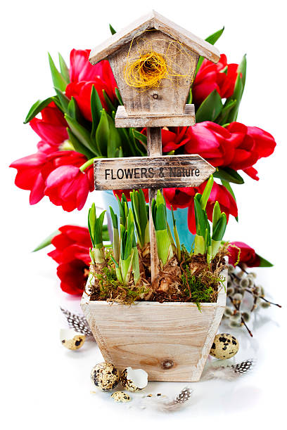 istock Potted daffodils and little birdhouse 466317092