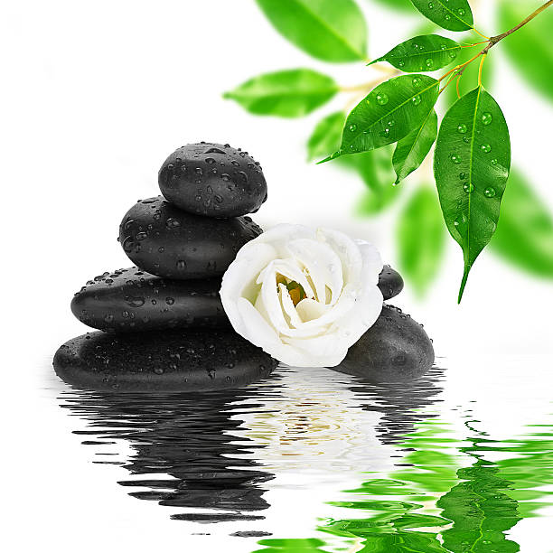 spa Background -  black stones and bamboo on water