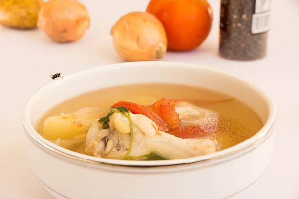 chicken soup stock photo