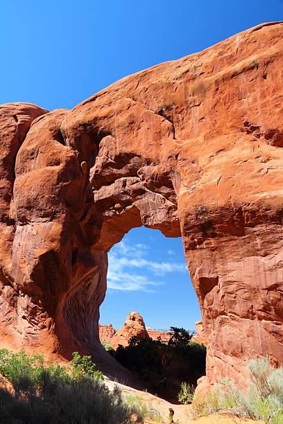 istock United States nature 466322505