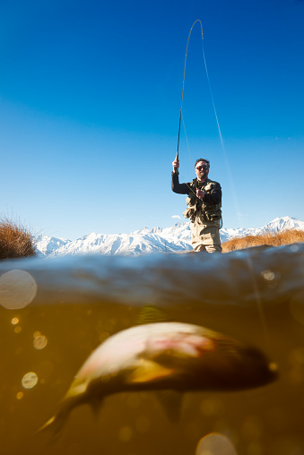 A fly fishermen on a pristine stream in the mountains with the foreground beig underwater with a trout on the line.  http://blog.michaelsvoboda.com/FishingBanner.jpg