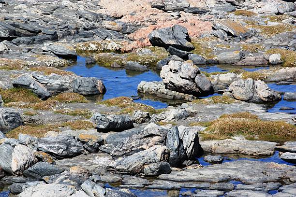 istock Coast of Luderitz in Namibia 466325476