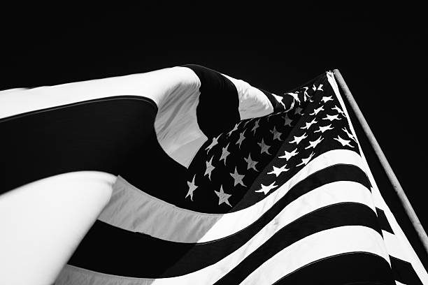 American Flag waving - Black & white cropped