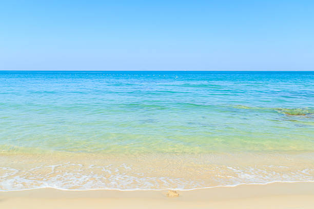 istock Beach and tropical sea 466326897