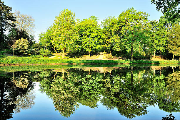 there is a small lake inside a public park. you can see perfect tree reflection on this lake. there are some people close to the lake. Some of them making love, some of them reading paper. This is a perfect place to relax and be happy.