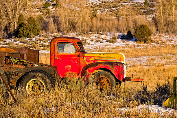istock Old Truck in Junkyard 466330676