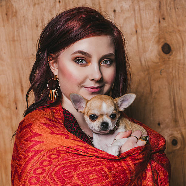 美しい若い女性、チワワ子犬犬の pet - young animal flash ストックフォトと画像