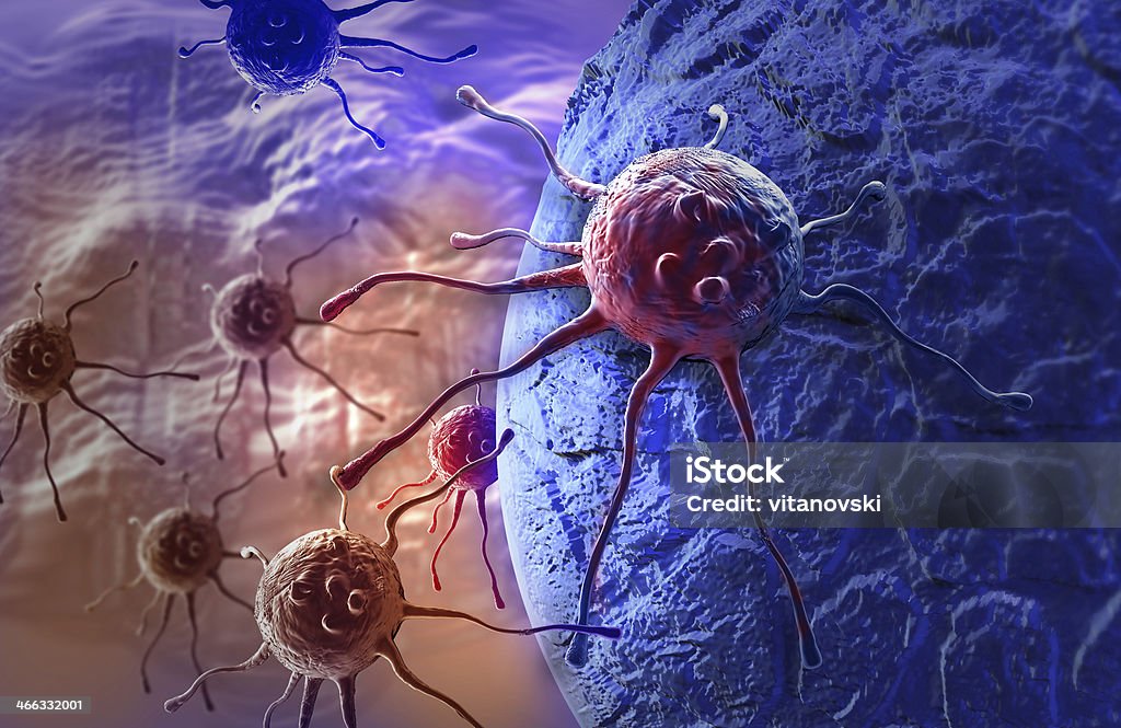 Célula cancerosa - Foto de stock de Célula cancerígena de animal libre de derechos