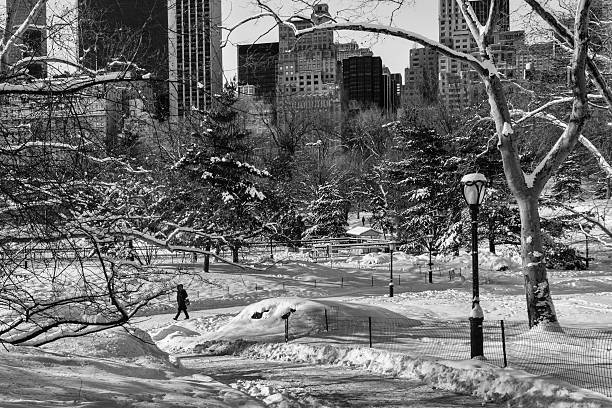 istock Central Park Winter, New York City, Black and White 466332152