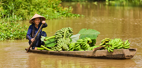 Vietnamese fruits seller - woman rowing boat in the Mekong river delta & selling bananas, Vietnam.