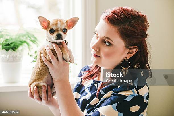 Beautiful Young Woman With Chihuahua Puppy Dog Pet Stock Photo - Download Image Now - 18-19 Years, 2015, Adult