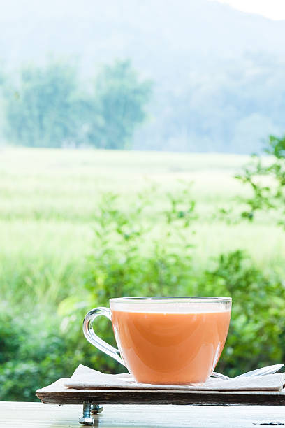 istock Hot milk tea on natural green background 466334352
