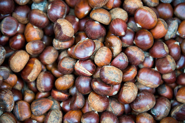 istock Fresh chestnut on the market 466336914