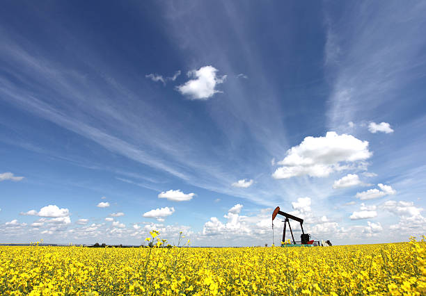 istock Oil Pumpjack in Alberta Canada 466337254