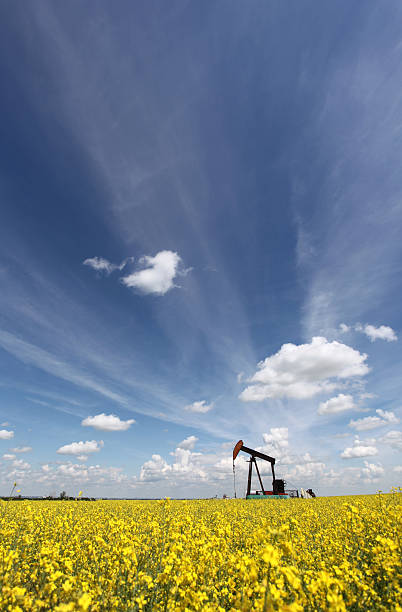 istock Oil Pumpjack in Alberta Canada 466337272