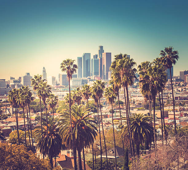 istock Downtown Los Angeles with palm trees in the foreground 466337328