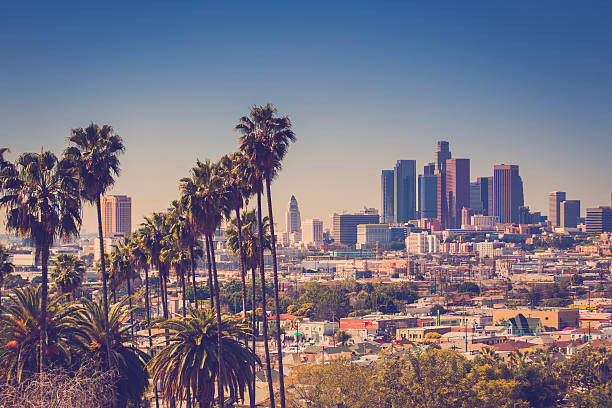 istock Downtown Los Angeles with palm trees in the foreground 466337338