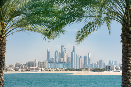 Dubai Marina Skyline framed by Palm Trees