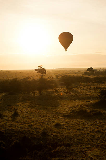 istock Hot air balloon at sunrise 466340974