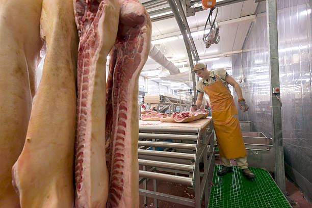 boucher coupe la viande sur l'usine agro-alimentaire - butcher butchers shop slaughterhouse hook photos et images de collection